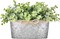 Artificial Eucalyptus Faux Plants Indoor for Farmhouse Home Decor Fake Potted Plants in Rustic Rectangular Pots Table Centerpiece for Office Bath Living Room Greenery Decor, 7" L x 4" H